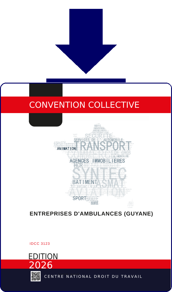 Convention IDCC3123 - Telechargement PDF